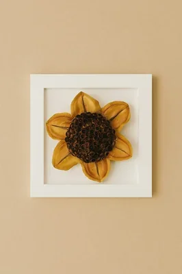 Obra de Arte 2